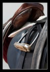 saddle saddle