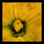 another world another world