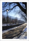 Il viale Il viale