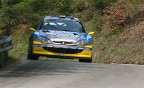 Peugeot 206 WRC (cattivissima! ;P)