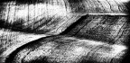 Bianco e nero Bianco e nero