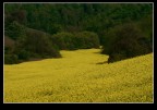 FIUME GIALLO FIUME GIALLO