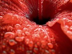 Gocce su di me.. Gocce su di me..