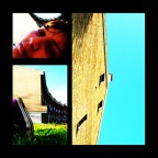 Un chien d'espace Un chien d'espace