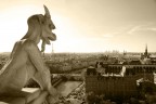 Gargoyle Gargoyle