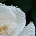 Borderline Borderline