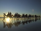 questa foto  stata scattata durante un tramonto sulla spiaggia di BROOME in Western Australia.
This photo was taken on a Sunset in Broome Western Australia...