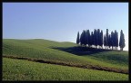 Colline Senesi Colline Senesi