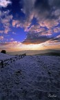 Il primo amore non si scorda mai 2: Il primo amore non si scorda mai 2: