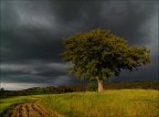 l' arrivo del temporale