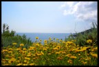 Scorgere il mare