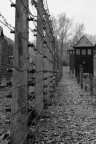 Auschwitz Auschwitz