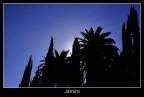 :: Backlight :: :: Backlight ::