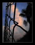 the sky behind the net the sky behind the net
