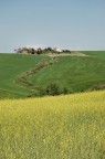 Colline Toscane Colline Toscane