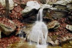 autunno autunno