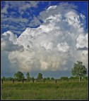 La forza della natura La forza della natura
