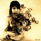 roses roses