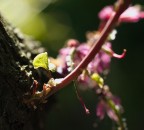 Sun Beam#1 Sun Beam#1