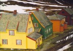 flam (norvegia) - giugno 2005