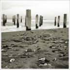 Odio l'estate Odio l'estate