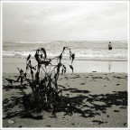 Irlandese 3 Irlandese 3