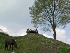 Rasnov