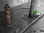 Angolo di una strada Angolo di una strada