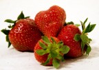 fragole fragole