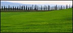 profilo toscano