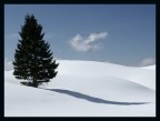 Il Gigante solitario Il Gigante solitario