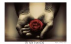 in my hands in my hands