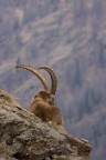 Trekking Foto-Naturalistico al Parco Nazionale del Gran Paradiso