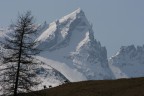 Trekking Foto-Naturalistico al Parco Nazionale del Gran Paradiso