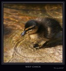 Primi approcci..... Primi approcci.....