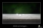 Sabato pomeriggio