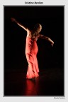Flamenco #1 Flamenco #1