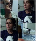 ale ed ernesto discutono di come si educa un gatto... ale ed ernesto discutono di come si educa un gatto...