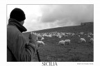 in sicilia in sicilia