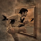 on the way to wonderland on the way to wonderland