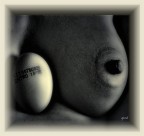 La scadenza La scadenza