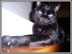 Posa da diva Posa da diva