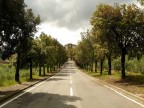 la strada la strada