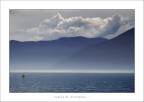 voglia di solitudine voglia di solitudine