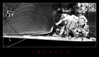 Tribute Tribute