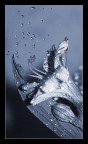 Kiss The Rain Kiss The Rain