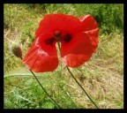 delicato numero 2 delicato numero 2