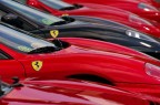 Nero su campo rosso Nero su campo rosso
