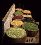 cambogia spezie cambogia spezie