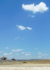 Kenya Kenya